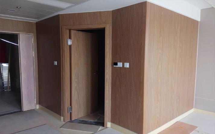 不顧眾多人的反對，她堅(jiān)持用綠色做主色調(diào)裝飾全屋，抑菌門完工效果真贊